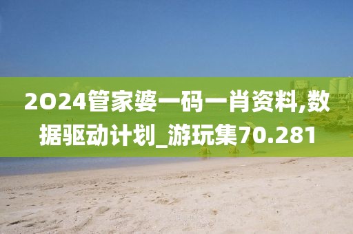 2O24管家婆一码一肖资料,数据驱动计划_游玩集70.281
