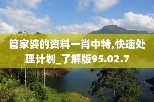 管家婆的资料一肖中特,快速处理计划_了解版95.02.7