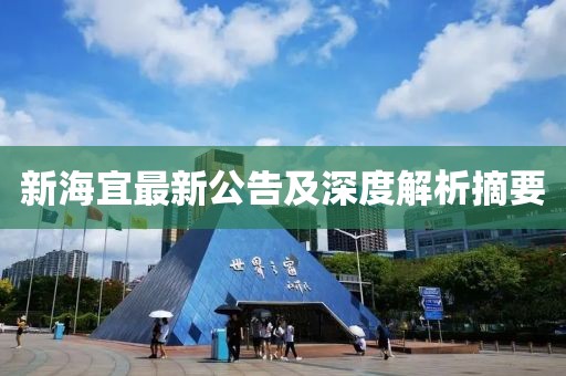 新海宜最新公告及深度解析摘要