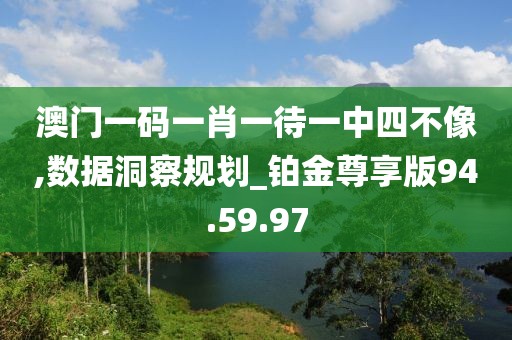 澳门一码一肖一待一中四不像,数据洞察规划_铂金尊享版94.59.97
