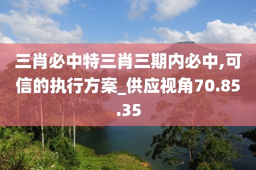 三肖必中特三肖三期内必中,可信的执行方案_供应视角70.85.35