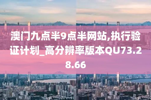 澳门九点半9点半网站,执行验证计划_高分辨率版本QU73.28.66