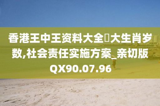 香港王中王资料大全枓大生肖岁数,社会责任实施方案_亲切版QX90.07.96