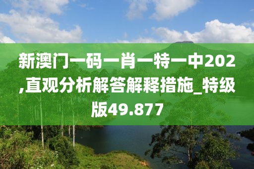 新澳门一码一肖一特一中202,直观分析解答解释措施_特级版49.877