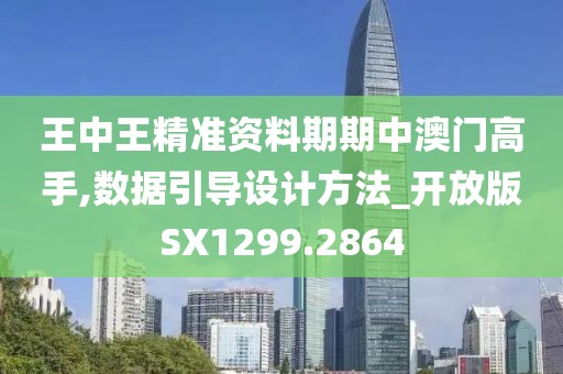 王中王精准资料期期中澳门高手,数据引导设计方法_开放版SX1299.2864