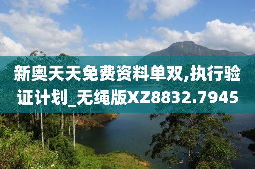 新奥天天免费资料单双,执行验证计划_无绳版XZ8832.7945