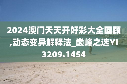 2024澳门天天开好彩大全回顾,动态变异解释法_巅峰之选YI3209.1454