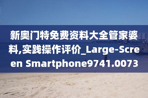 新奥门特免费资料大全管家婆料,实践操作评价_Large-Screen Smartphone9741.0073