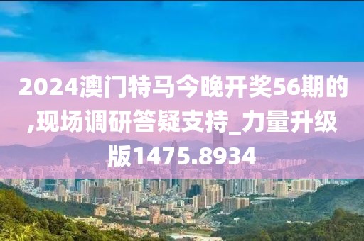 2024澳门特马今晚开奖56期的,现场调研答疑支持_力量升级版1475.8934