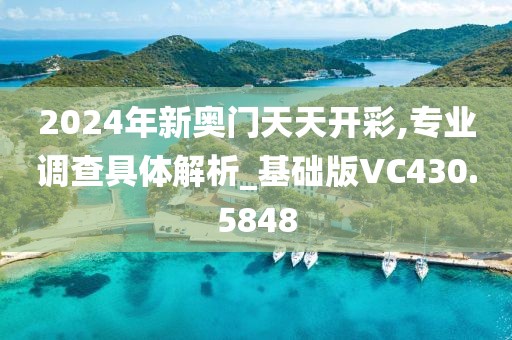 2024年新奥门天天开彩,专业调查具体解析_基础版VC430.5848