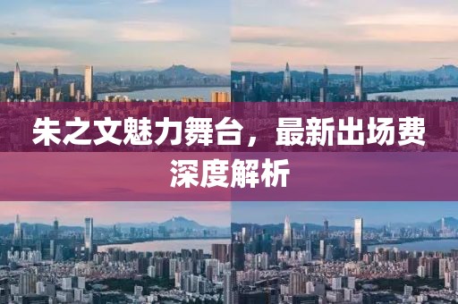 朱之文魅力舞台，最新出场费深度解析