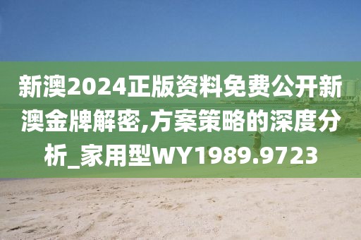 新澳2024正版资料免费公开新澳金牌解密,方案策略的深度分析_家用型WY1989.9723