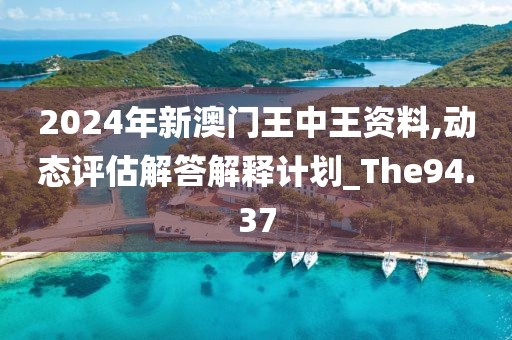 2024年新澳门王中王资料,动态评估解答解释计划_The94.37