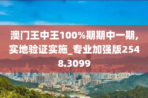 澳门王中王100%期期中一期,实地验证实施_专业加强版2548.3099