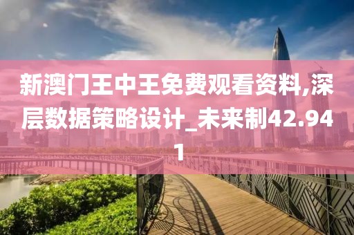 新澳门王中王免费观看资料,深层数据策略设计_未来制42.941