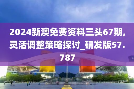 2024新澳免费资料三头67期,灵活调整策略探讨_研发版57.787