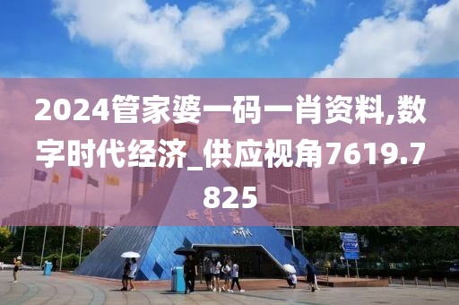 2024管家婆一码一肖资料,数字时代经济_供应视角7619.7825