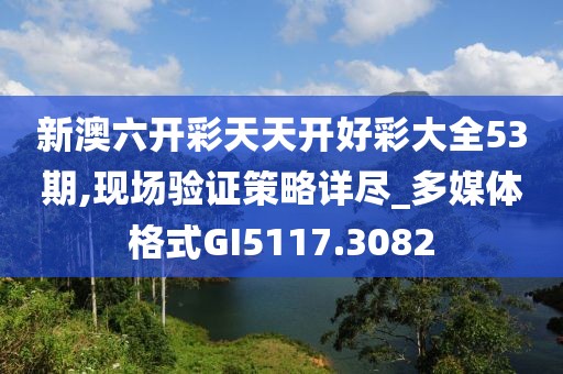 新澳六开彩天天开好彩大全53期,现场验证策略详尽_多媒体格式GI5117.3082