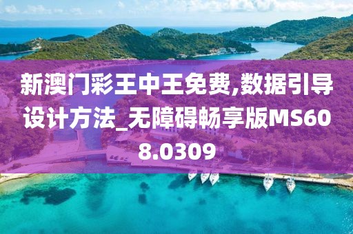 新澳门彩王中王免费,数据引导设计方法_无障碍畅享版MS608.0309