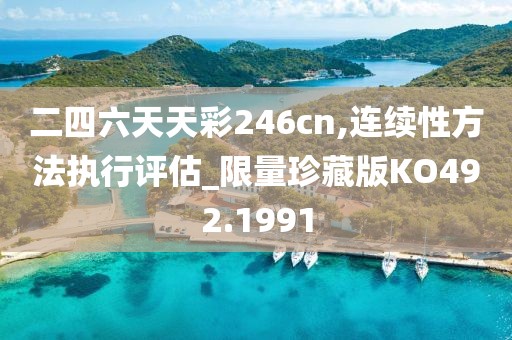 二四六天天彩246cn,连续性方法执行评估_限量珍藏版KO492.1991