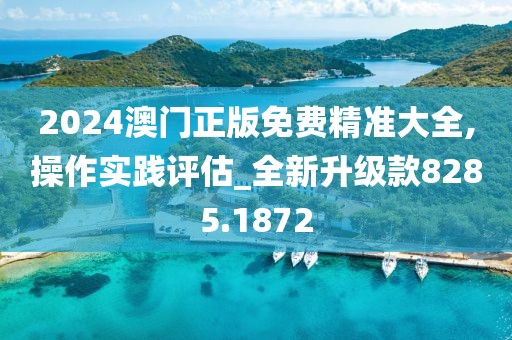 2024澳门正版免费精准大全,操作实践评估_全新升级款8285.1872