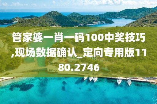 管家婆一肖一码100中奖技巧,现场数据确认_定向专用版1180.2746
