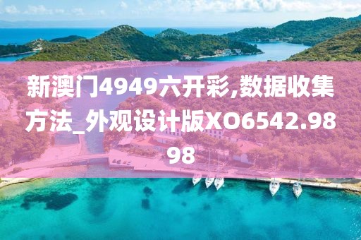 新澳门4949六开彩,数据收集方法_外观设计版XO6542.9898