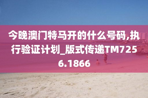 今晚澳门特马开的什么号码,执行验证计划_版式传递TM7256.1866