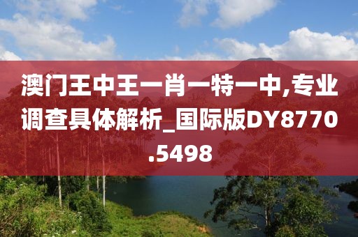 澳门王中王一肖一特一中,专业调查具体解析_国际版DY8770.5498