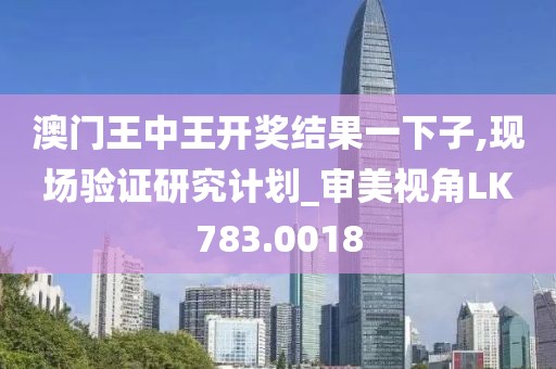 澳门王中王开奖结果一下子,现场验证研究计划_审美视角LK783.0018