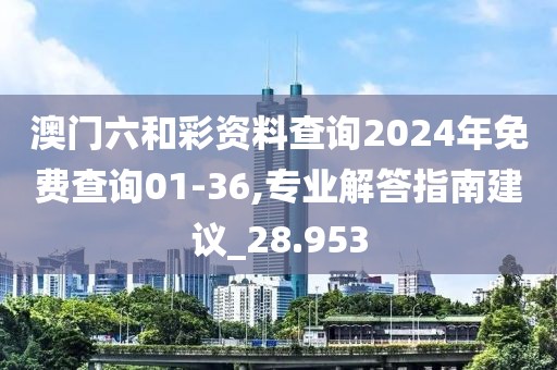 澳门六和彩资料查询2024年免费查询01-36,专业解答指南建议_28.953
