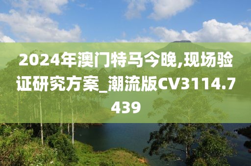 2024年澳门特马今晚,现场验证研究方案_潮流版CV3114.7439