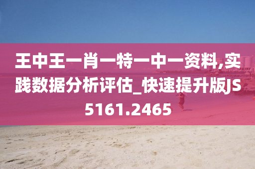 王中王一肖一特一中一资料,实践数据分析评估_快速提升版JS5161.2465