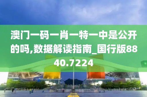澳门一码一肖一特一中是公开的吗,数据解读指南_国行版8840.7224