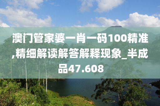 澳门管家婆一肖一码100精准,精细解读解答解释现象_半成品47.608