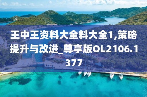 王中王资料大全料大全1,策略提升与改进_尊享版OL2106.1377