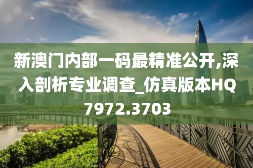新澳门内部一码最精准公开,深入剖析专业调查_仿真版本HQ7972.3703
