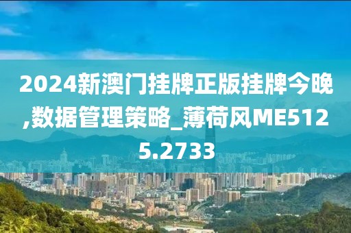 2024新澳门挂牌正版挂牌今晚,数据管理策略_薄荷风ME5125.2733