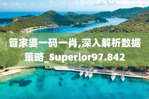 管家婆一码一肖,深入解析数据策略_Superior97.842