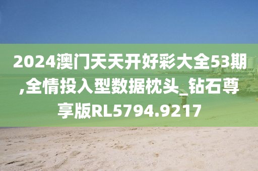 2024澳门天天开好彩大全53期,全情投入型数据枕头_钻石尊享版RL5794.9217