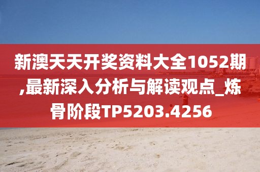 新澳天天开奖资料大全1052期,最新深入分析与解读观点_炼骨阶段TP5203.4256