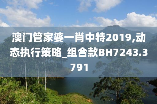 澳门管家婆一肖中特2019,动态执行策略_组合款BH7243.3791