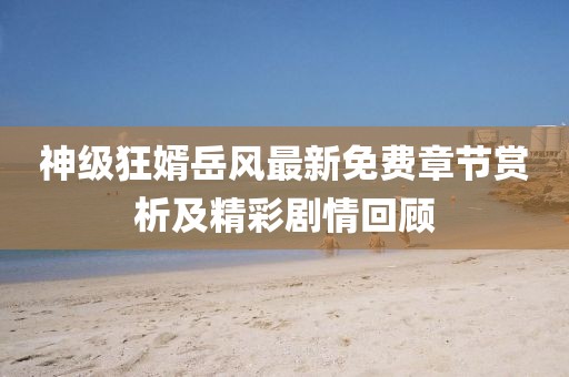 神级狂婿岳风最新免费章节赏析及精彩剧情回顾