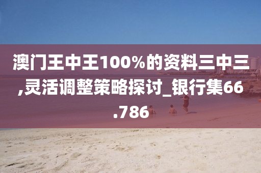 澳门王中王100%的资料三中三,灵活调整策略探讨_银行集66.786
