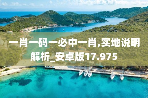 一肖一码一必中一肖,实地说明解析_安卓版17.975
