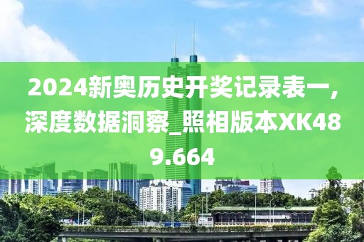 2024新奥历史开奖记录表一,深度数据洞察_照相版本XK489.664