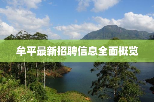 牟平最新招聘信息全面概览