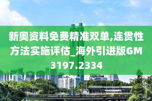 新奥资料免费精准双单,连贯性方法实施评估_海外引进版GM3197.2334