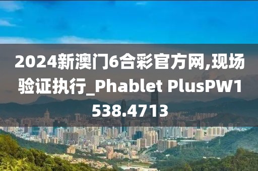 2024新澳门6合彩官方网,现场验证执行_Phablet PlusPW1538.4713