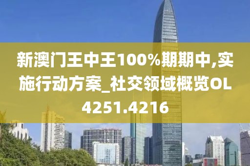 新澳门王中王100%期期中,实施行动方案_社交领域概览OL4251.4216
